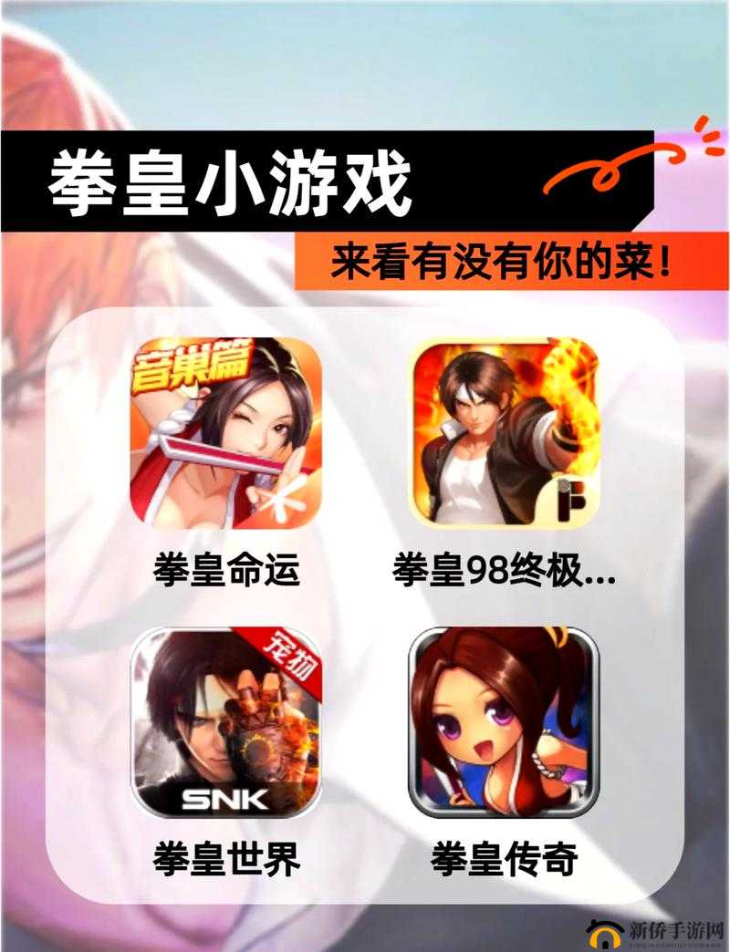 拳皇命运手游新手全面指南，掌握入门攻略与高效快速升级技巧