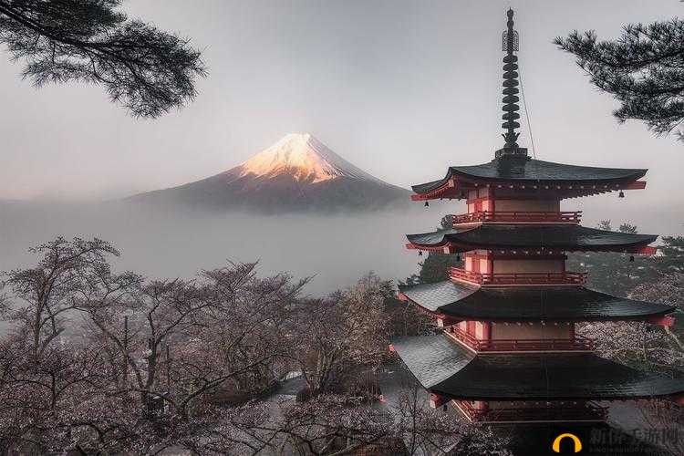 tobu8 日本图片：探索别样日本风情之精彩呈现