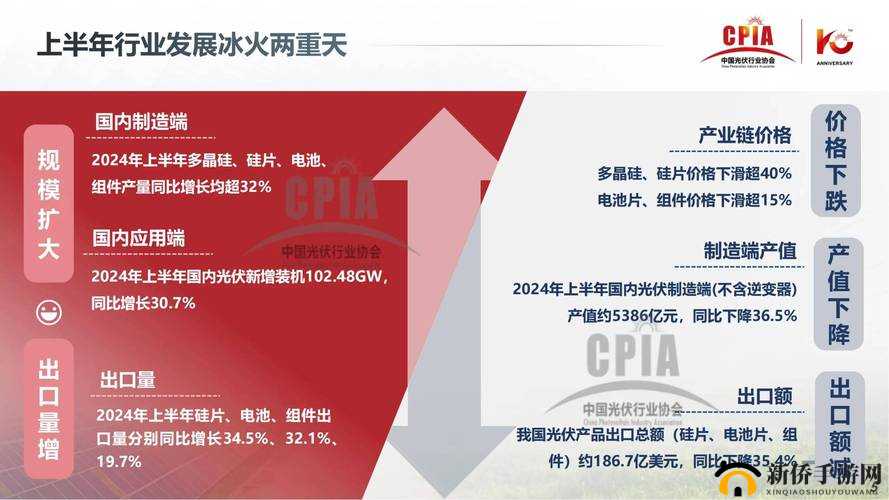 2024 年免费 b 站人口：关于其未来发展趋势与影响因素的探讨