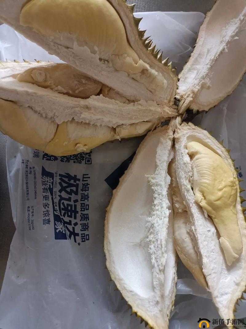 榴莲秋葵丝瓜草莓黄瓜榴莲 6l 的奇妙组合与探索