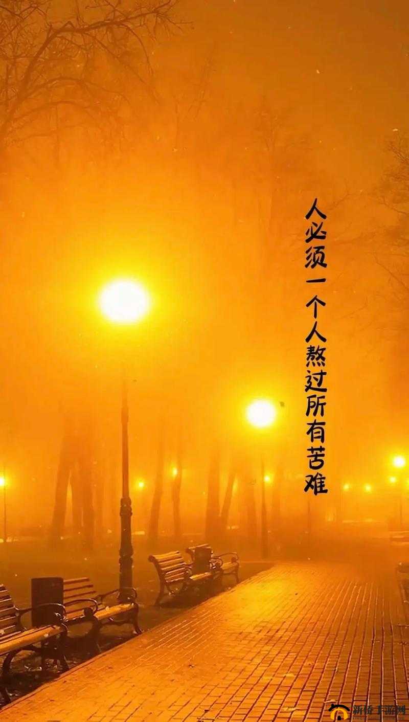 137 人但人文：一场关于人性与温暖的探索之旅