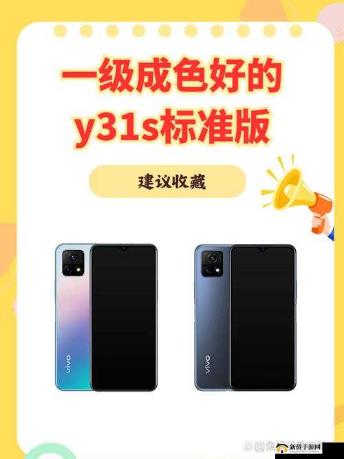 成色好的 Y31S 标准版视频：展现卓越品质与独特魅力