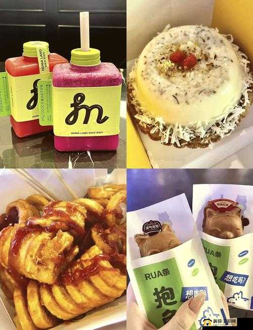 爆炒小魅魔的一千种方式：开启奇妙美食探索之旅