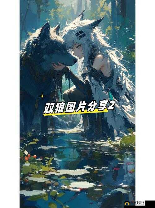 五月色网站：探索未知的神秘世界