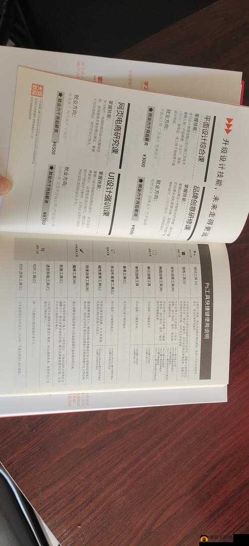 呦呦稀缺入口：探寻其背后独特价值与意义的通道