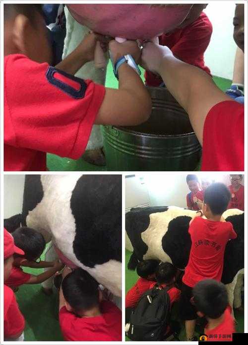 12 岁能否在小花园里挤出牛奶？——专家解读