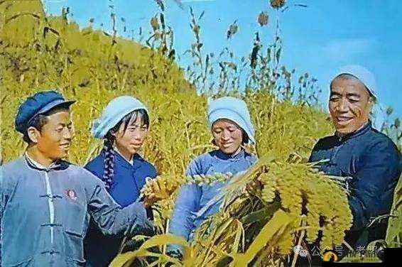 中国农村一级毛片：展现真实农村生活的珍贵影像