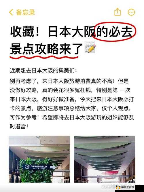 一个人免费畅享完整观看日本 WWW 的绝佳途径