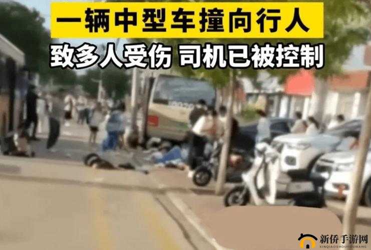 乱入公交车：一场突如其来的城市交通奇遇记