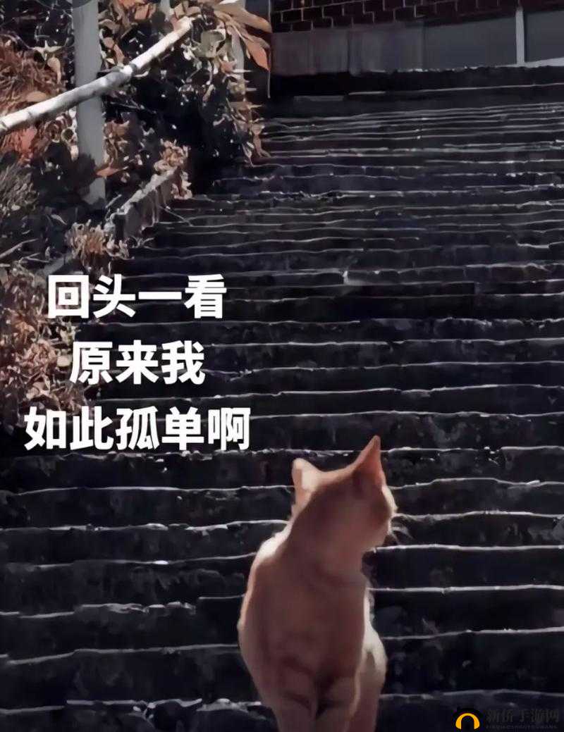 只要一顶嘴就会被主人扇巴掌：我该如何应对？