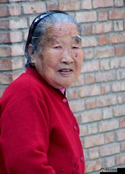 耄耋老妇性开放之完整经历与探讨