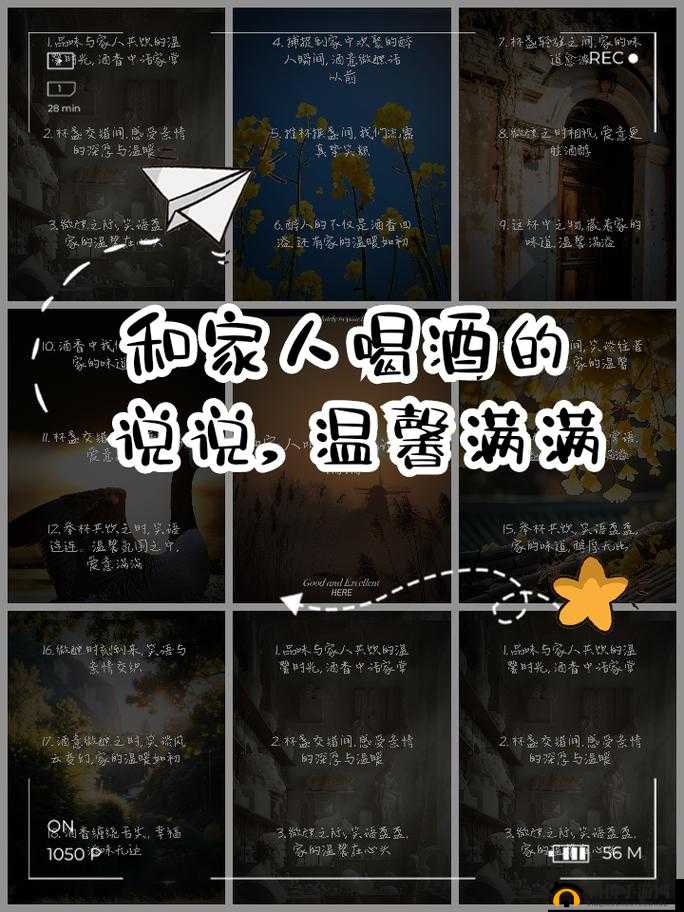 喝酒庆生却与妈妈发生意外：意外背后的亲情与成长