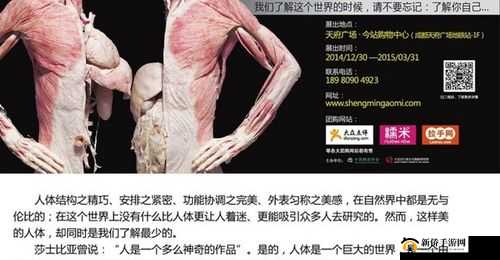 久久特黄：深入探索成人世界的奥秘