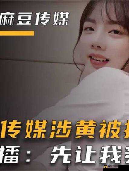 麻豆传煤入口免费进入2023：探寻其背后的奥秘与影响