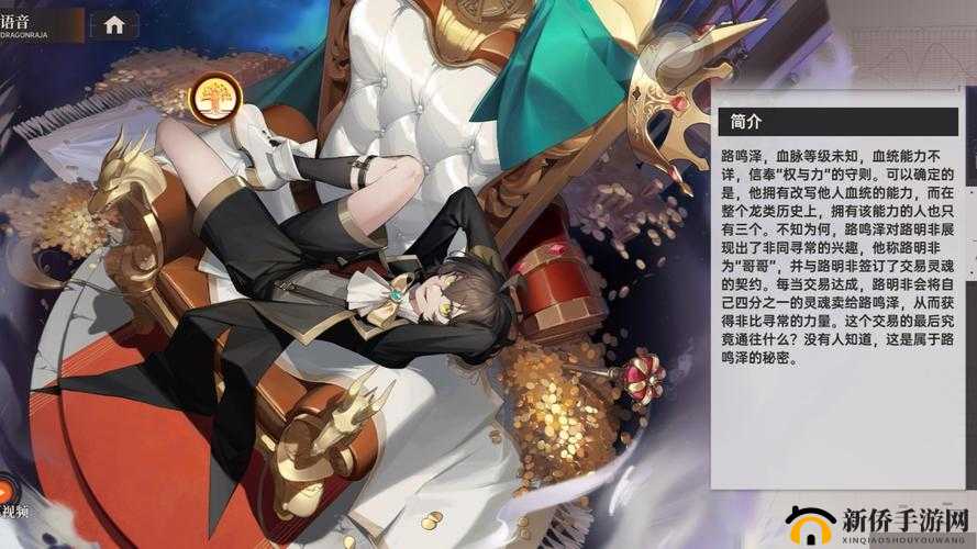 龙族大陆手游深度解析，技能系统入门与高效资源管理艺术