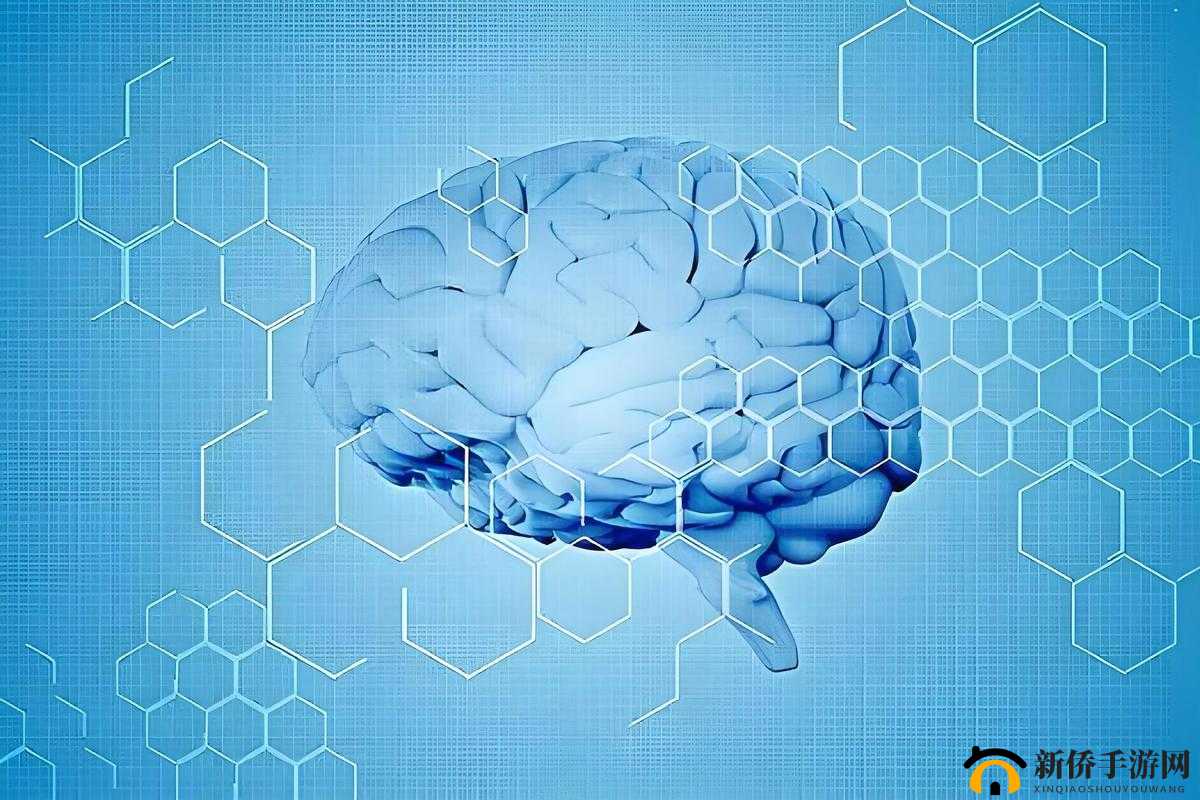 性爱的奥秘：探索人与性动交 zzzzBBBB 的深层意义
