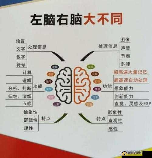 办公室里的人和畜禽的区别：从行为到思维的深度剖析