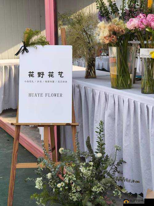 高清无码：贰佰信息网视频仙踪林，带你领略不一样的视觉盛宴