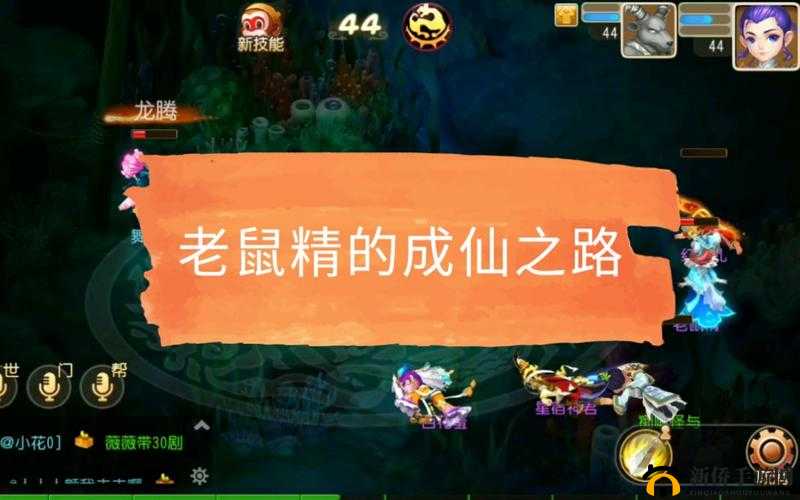 梦幻西游手游秘境挑战深度解析，揭秘老鼠精高效辅助战斗策略与套路