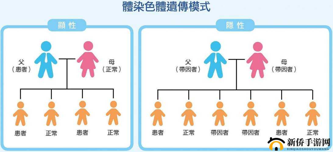 欧洲女性显性基因和亚洲女性显性基因对比：是遗传差异还是环境影响？