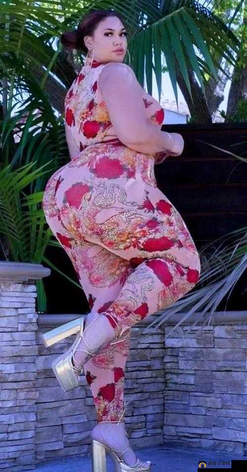 欧美巨大 OOOO 的独特魅力与精彩呈现