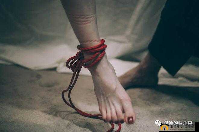 探索另类世界：罕见稀奇的 BDSM 之美