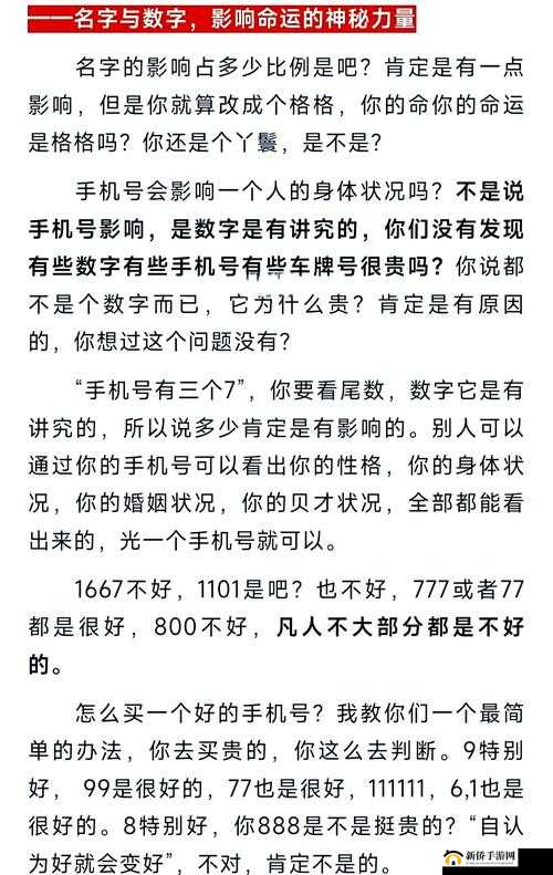 1024 在线：畅享数字世界的精彩与奥秘