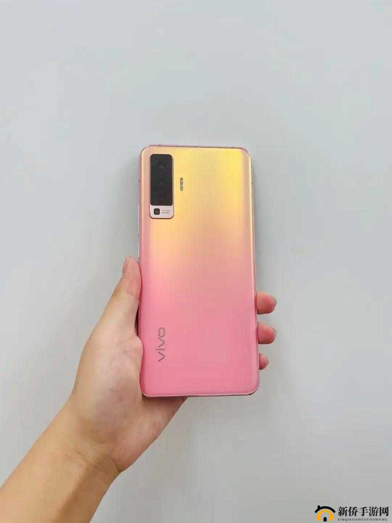 黄色 vivo 粉色 3.3.30：关于其独特魅力与特征的详细解读