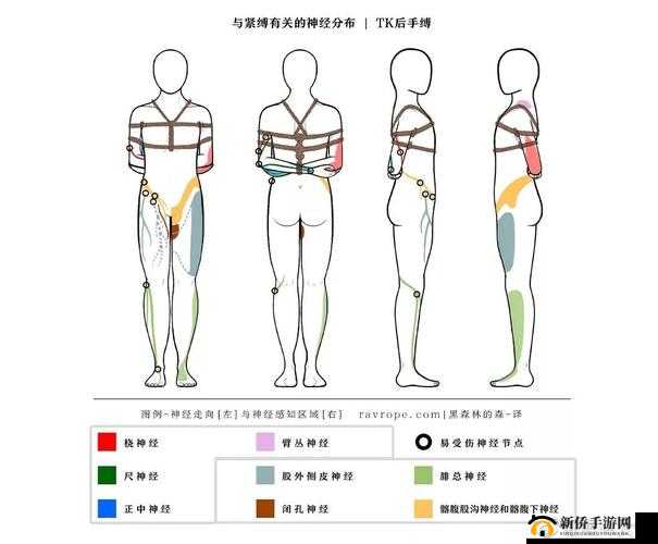 tk女孩腋窝腰肋骨崩溃：为何会出现这种令人震惊的情况