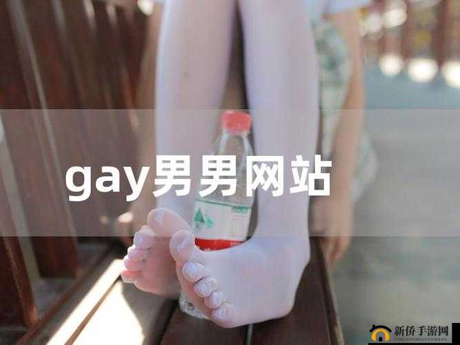 中国男同 GaY 网站 www：探寻同志文化与情感的世界