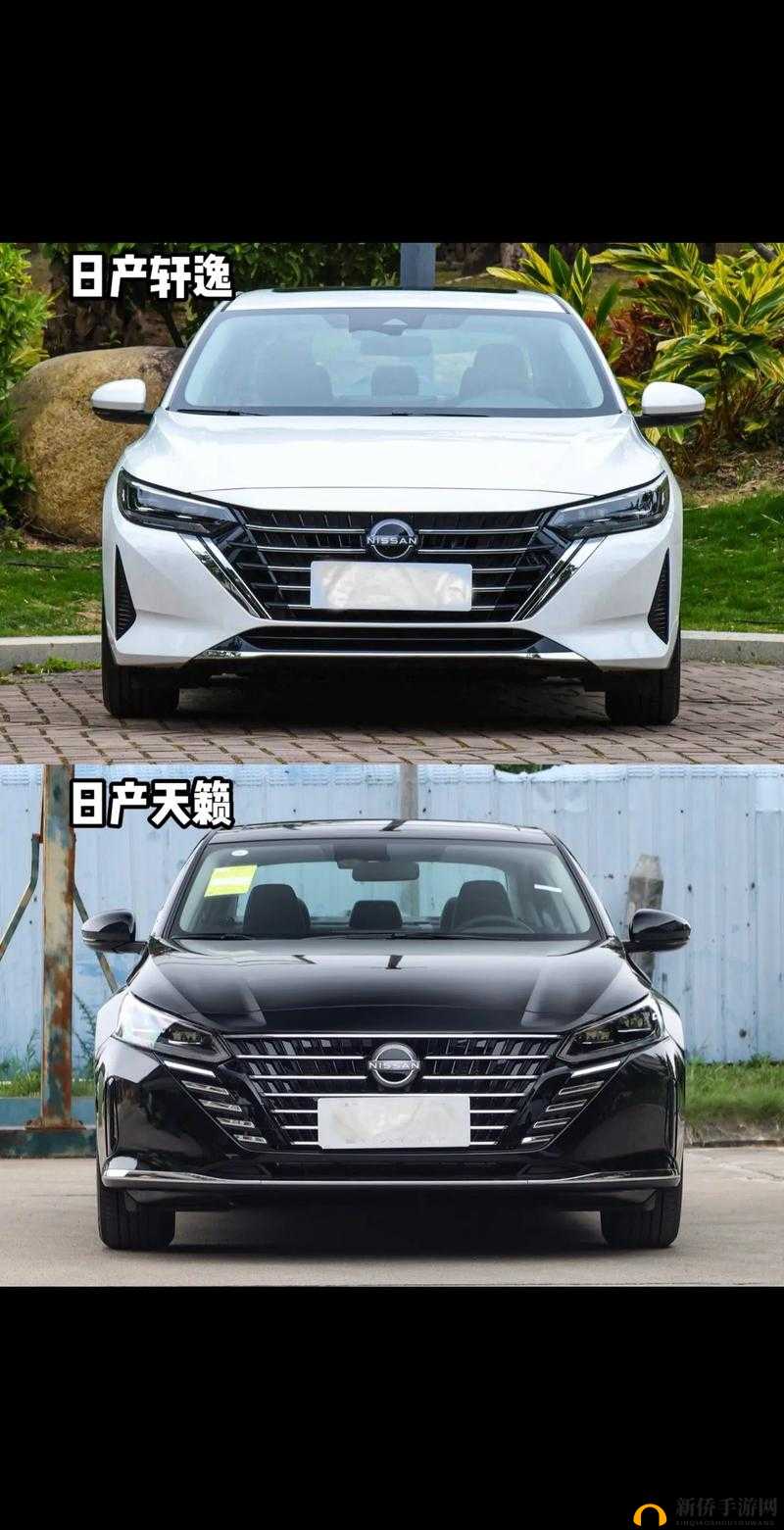 精品日产高清卡 4 与卡 5 的区别：全方位深度解析对比