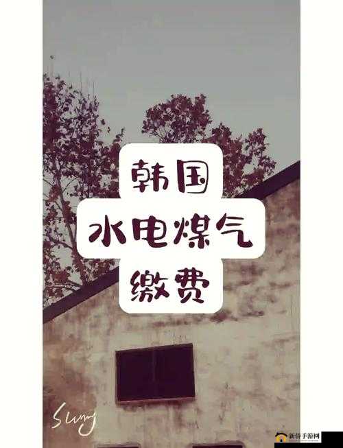 好看的韩国三色电费相关内容及精彩解读
