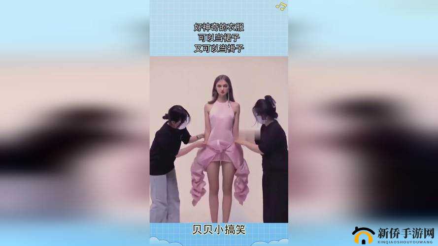 人狗大战 Java 代码曝光：探寻背后的编程奥秘与挑战