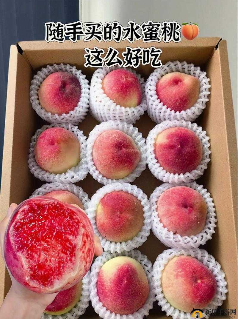 GTCARD2 水蜜桃：甜蜜多汁带来的极致味蕾享受