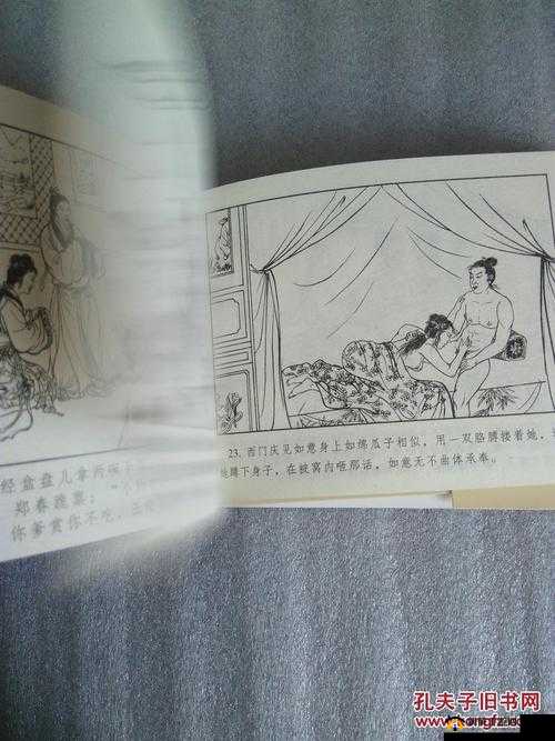 林太太府中逢甘雨原文探寻之深入挖掘