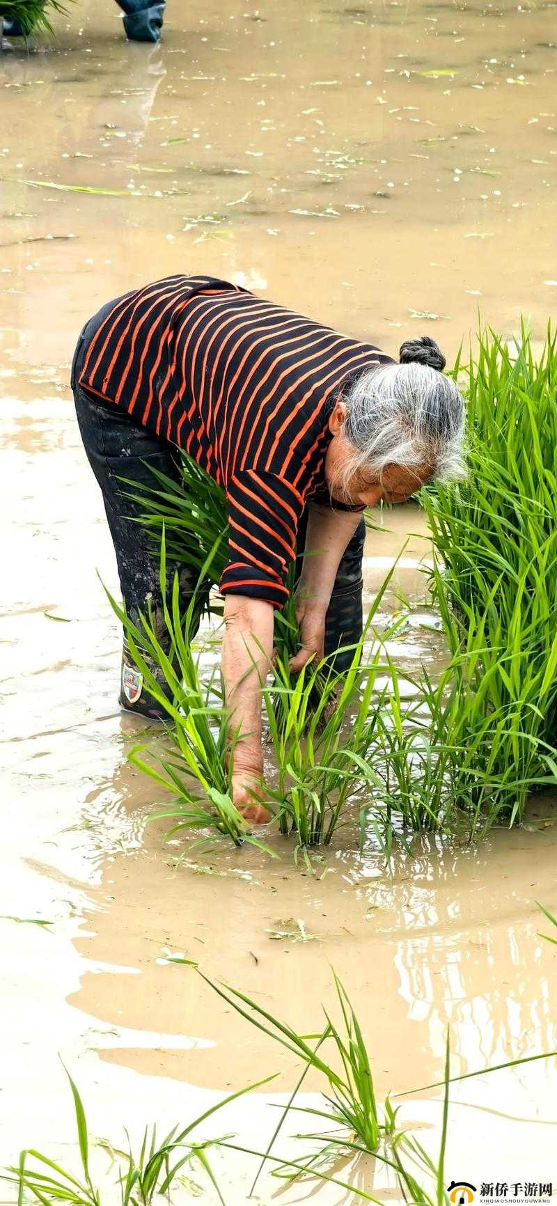 情侣的 30 种插秧法相关图片视频无法观看原因探究