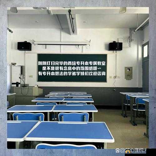 校园绑定 JY 收集系统：开启校园生活的奇妙之旅与独特体验