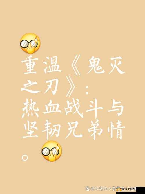 兄弟 1v2 前后之热血激战与深厚情谊的故事