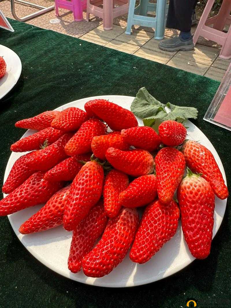 水果盛宴：草莓、香蕉、榴莲与丝瓜的奇妙组合