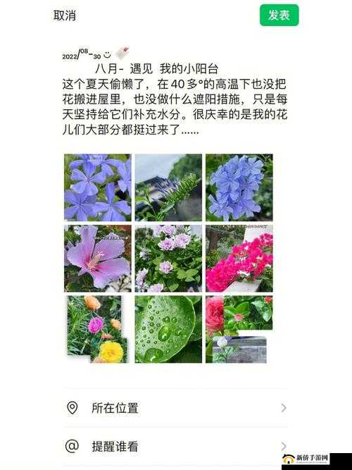 老公亲我的小花园最火的一句被爆料日本频道：用户至上，完全免费畅享精彩内容