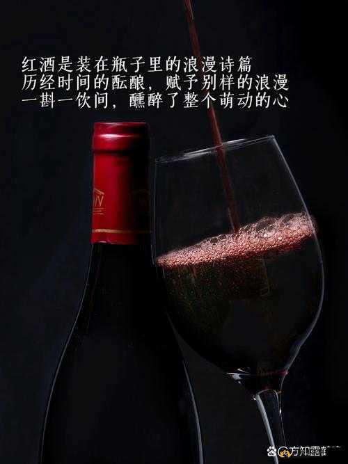红酒装不下了 1V2 的解决方案：有效提升存储容量的途径