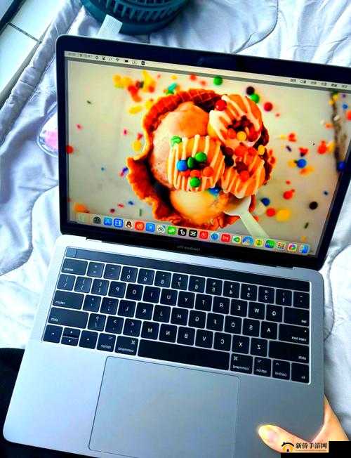 19 岁 MacBook Pro 在欧美市场的发展历程与演变