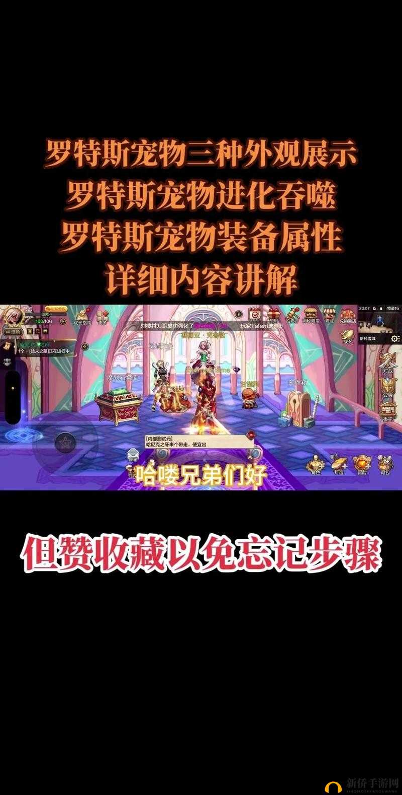 全职猎手手游深度解析，宠物系统玩法技巧与养成攻略大全