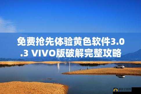 如何下载 3.0.3 免费 vivo 版破解大全：详细步骤解析