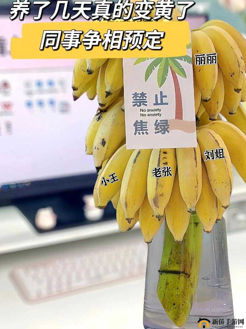 香蕉榴莲秋葵绿巨人 WWW 带来的奇妙体验与独特魅力