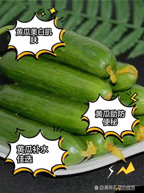 草莓樱桃丝瓜秋葵榴莲黄瓜大全：丰富蔬果种类与特点介绍