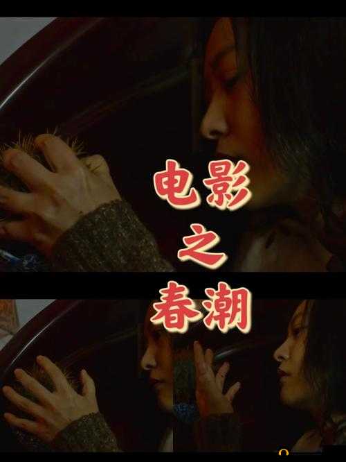 春潮电影之关于家庭情感与人性挣扎的深度剖析
