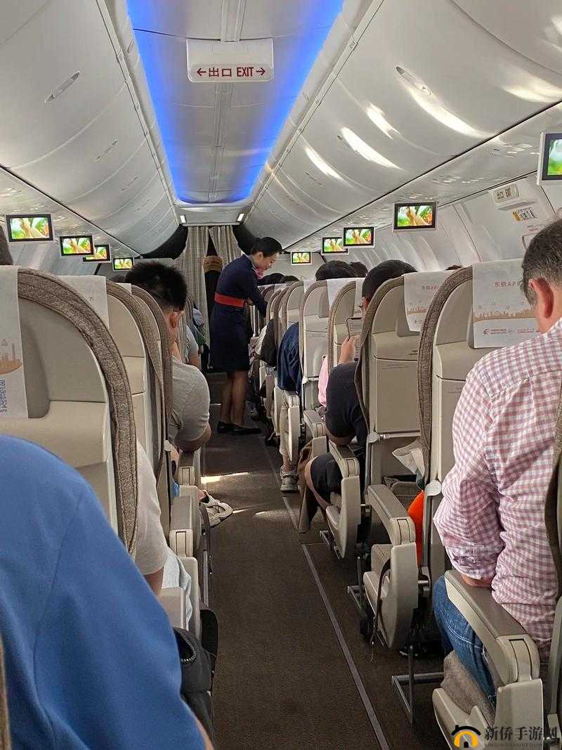 震惊空姐竟然在飞机上做出这种事
