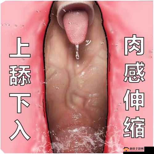 www 女视频：精彩女性专属视频呈现