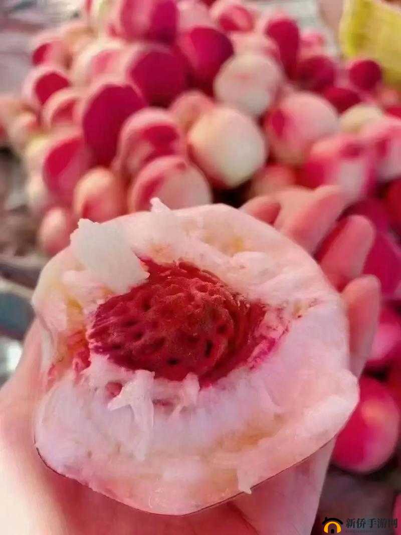 水蜜桃哪个品种最好吃：探索不同品种的独特魅力